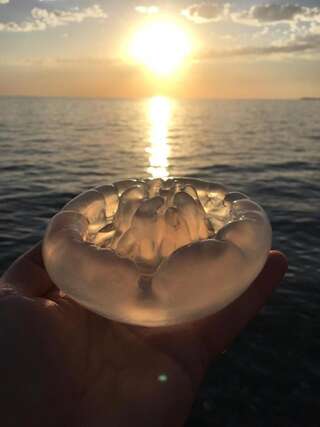 Отель Hotel Amrita Сухум Большой двухместный номер с 1 кроватью-1